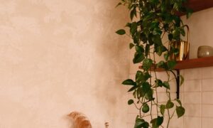 Plantas Artificiales Colgantes: Cómo Elegir el Pack Ideal